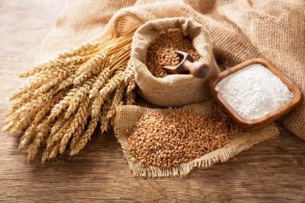 WHEAT (GEHU)