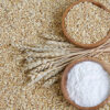 WHEAT (GEHU) - Image 2